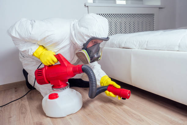 Best Pest Exclusion Services  in Lipatria, CA